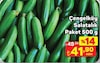 A101 1 Ocak 2026 Kataloğu Çengelköy Salatalık Paket 500 g