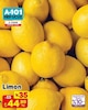 A101 8 Ocak 2026 Kataloğu Limon kg
