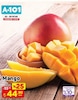 A101 22 Ocak 2026 Kataloğu Mango Adet 