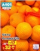 A101 23 Ocak 2026 Kataloğu Portakal Sıkma File Kg