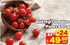 A101 26 Şubat 2026 Kataloğu Kokteyl Domates Paket 500 G