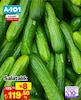 A101 5 Mart 2026 Kataloğu Salatalık Kg