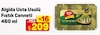 A101 14 Mart 2026 Kataloğu Algida Usta Usulü Fıstık Cenneti 460 ml