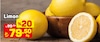 A101 26 Mart 2026 Kataloğu Limon kg 