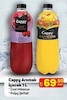A101 2 Nisan 2026 Kataloğu Cappy Hibiscus Aromalı İçecek 1 lt