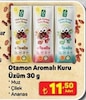 A101 2 Nisan 2026 Kataloğu Otamon Aromalı Kuru Üzüm 30 g Çeşitleri