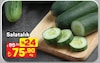 A101 2 Nisan 2026 Kataloğu Salatalık Kg