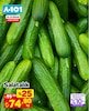 A101 10 Nisan 2026 Kataloğu Salatalık Kg