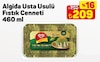 A101 11 Nisan 2026 Kataloğu Algida Usta Usulü Fıstık Cenneti 460 ml