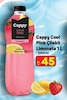 A101 23 Nisan 2026 Kataloğu Cappy Cool Pink 1 lt