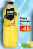 A101 23 Nisan 2026 Kataloğu Cappy Limonata 1 lt
