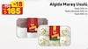 A101 18 Nisan 2026 Kataloğu Algida 500 ml Sade Maraş Usulü Dondurma