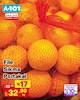 A101 30 Nisan 2026 Kataloğu Portakal Sıkma File Kg