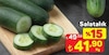 A101 21 Mayıs 2026 Kataloğu Salatalık Kg