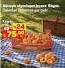 A101 21 Mayıs 2026 Kataloğu Kayısı kg 