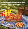 A101 22 Mayıs 2026 Kataloğu Kayısı kg 