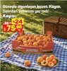 A101 25 Mayıs 2026 Kataloğu Kayısı kg 