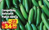 A101 25 Mayıs 2026 Kataloğu Çengelköy Salatalık Paket 500 g
