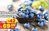 A101 25 Mayıs 2026 Kataloğu Yaban Mersini Paket 125 g 