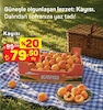 A101 4 Haziran 2026 Kataloğu Kayısı kg 