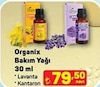 A101 11 Haziran 2026 Kataloğu Organix Bakım Yağı 30 ml Çeşitleri
