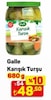 A101 6 Haziran 2026 Kataloğu Galle 680 gr Karışık Turşu