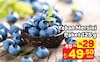 A101 18 Haziran 2026 Kataloğu Yaban Mersini Paket 125 g