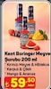 A101 2 Temmuz 2026 Kataloğu Kent Boringer Meyve Şurubu 200 ml Çeşitleri 
