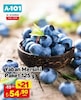 A101 26 Haziran 2026 Kataloğu Yaban Mersini Paket 125 g