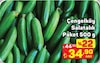 A101 2 Temmuz 2026 Kataloğu Çengelköy Salatalık Paket 500 G