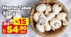 A101 2 Temmuz 2026 Kataloğu Mantar Tabak 300 G