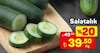 A101 2 Temmuz 2026 Kataloğu Salatalık Kg
