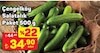 A101 9 Temmuz 2026 Kataloğu Çengelköy Salatalık Paket 500 G