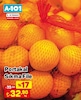 A101 9 Temmuz 2026 Kataloğu Portakal Sıkma File Kg