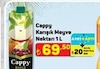 A101 16 Temmuz 2026 Kataloğu Cappy Bahçe Karışık Meyve Nektarı 1 lt