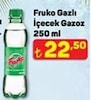 A101 16 Temmuz 2026 Kataloğu Fruko Gazoz 250 ml