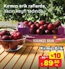 A101 16 Temmuz 2026 Kataloğu Kırmızı Erik kg 