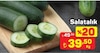 A101 16 Temmuz 2026 Kataloğu Salatalık Kg