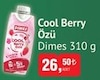 Bim 26 Aralık 2023 Kataloğu Dimes Cool Berry Mix 310 ml