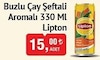 Bim 10 Ocak 2024 Kataloğu Lipton Ice Tea Şeftali 330 ml