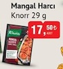 Bim 5 Mart 2024 Kataloğu Knorr Fırında Mangal Lezzeti Tavuk Çeşnisi 29 gr