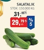 Bim 14 Mart 2024 Kataloğu Salatalık kg 