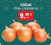 Bim 14 Mart 2024 Kataloğu Soğan kg 