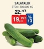 Bim 18 Nisan 2024 Kataloğu Salatalık kg