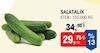 Bim 18 Temmuz 2024 Kataloğu Salatalık Kg