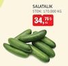 Bim 3 Ekim 2024 Kataloğu Salatalık Kg