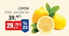 Bim 3 Ekim 2024 Kataloğu Limon kg