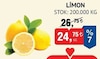 Bim 7 Kasım 2024 Kataloğu Limon kg 