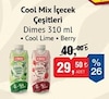 Bim 19 Aralık 2024 Kataloğu Dimes Cool Lime Özü 310 ml