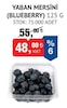 Bim 30 Aralık 2024 Kataloğu Blueberry-Yaban Mersini Yerli 125 gr